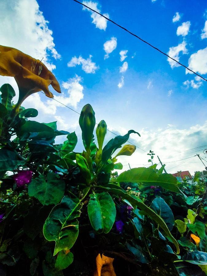Bimbache Home Frontera Bagian luar foto